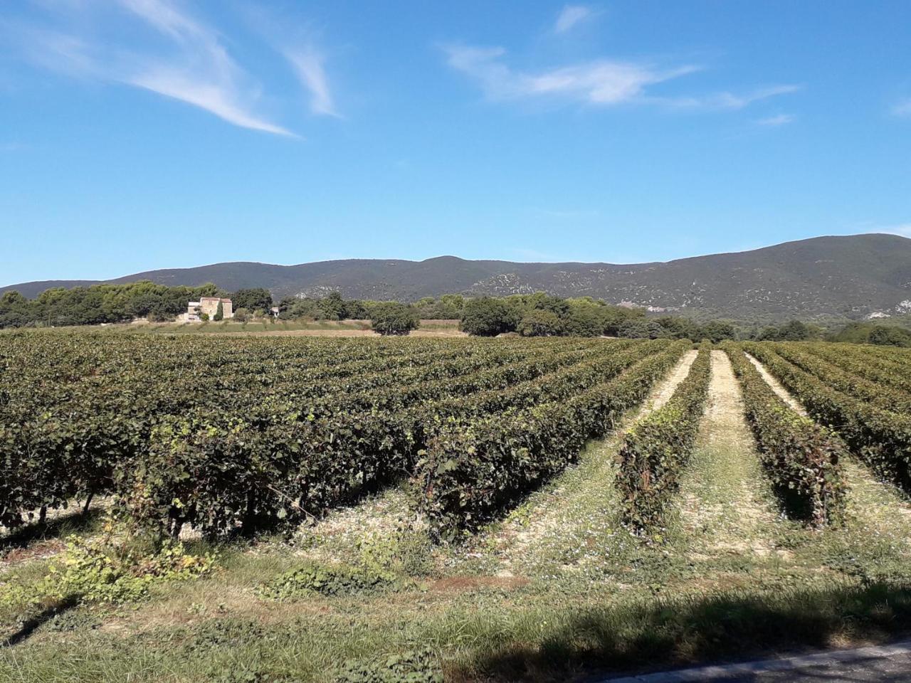 Le Mas Du Colombier Cadenet Ngoại thất bức ảnh