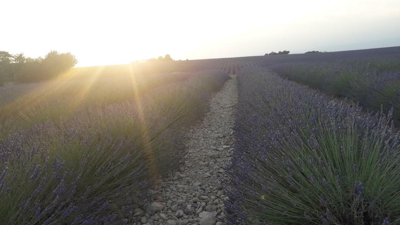 Le Mas Du Colombier Cadenet Ngoại thất bức ảnh